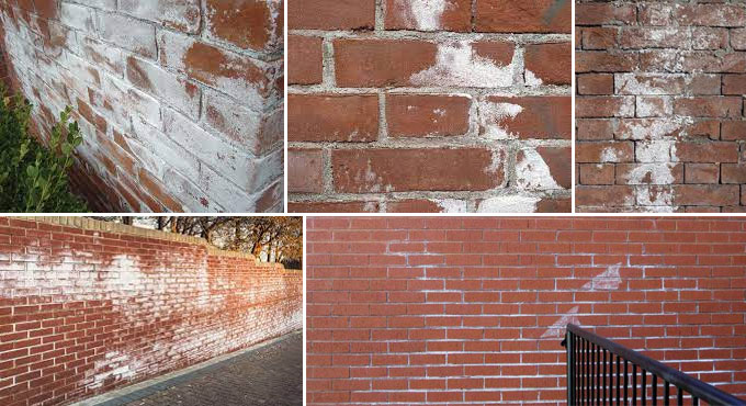 Efflorescence in Brickwork: A Comprehensive Exploration of Understanding and Control