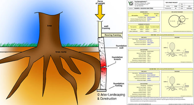 It is Unsafe to Build Near Trees ? NHBC Standards