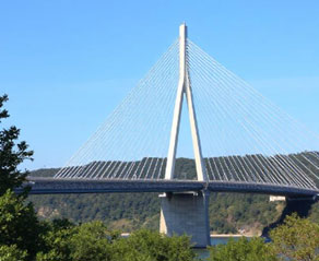 Cable-stayed Suspension bridge