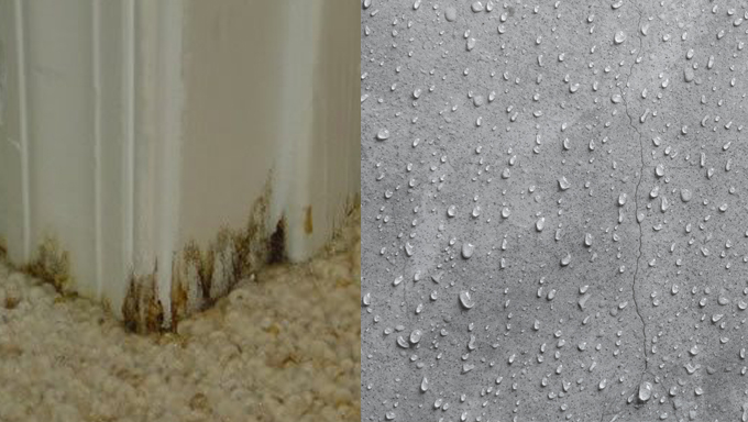 Concrete Sweating: What is it and How to Prevent it Concrete Sweating: What is it and How to Prevent it