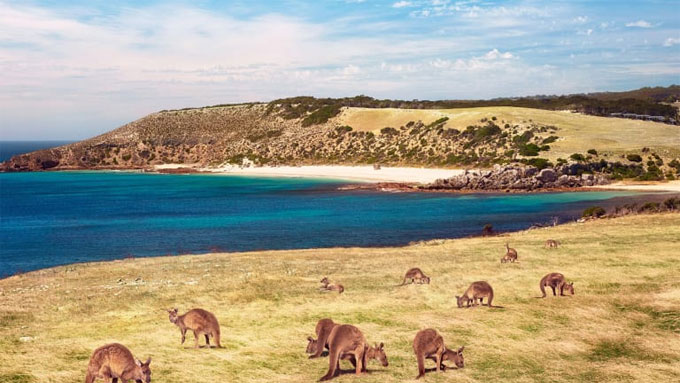 Kangaroo Island