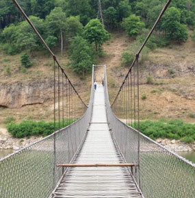 Simple Suspension Bridge