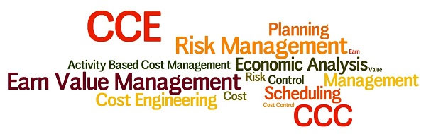 Certified Cost Engineering/Consultant